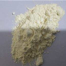 SS200P热塑性聚酰亚胺模压粉